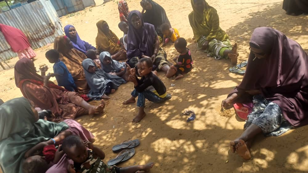 Somali initiative and environmental development organization  